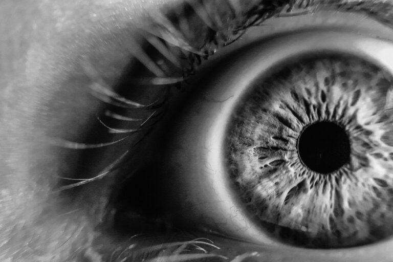close-up-1845247_1280
