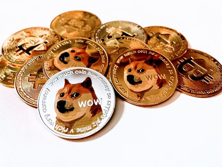 dog-6708166_1280