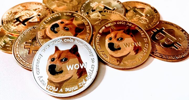 Shiba Inu (SHIB) Burns: Surges 1,628% in Burn Rate, Yet Price Resilience Questioned