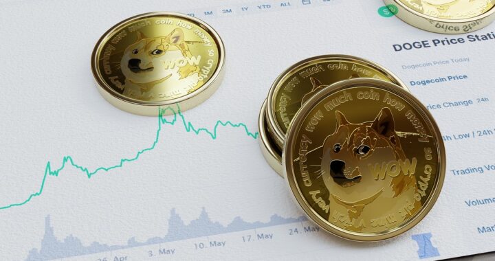 Dogecoin’s Future: A Whale-Driven Rally?