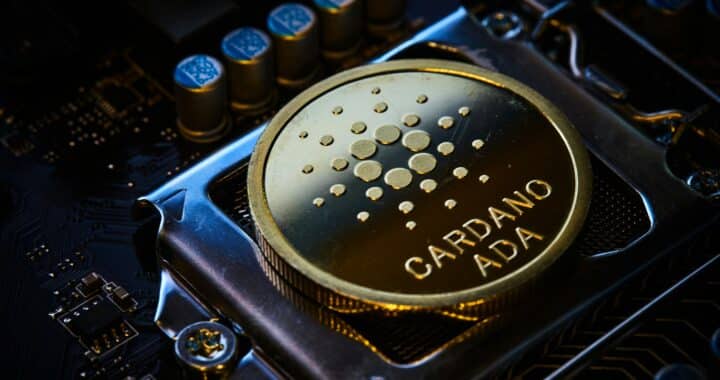 Eric Wall Sparks Controversy with Prediction: Cardano to Exit Top 10 Cryptocurrencies by 2024
