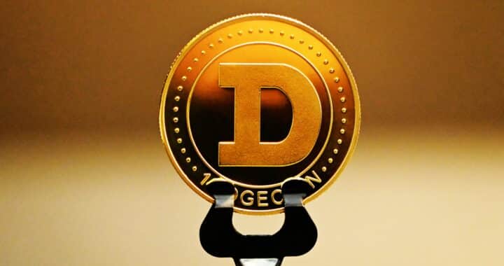 Dogecoin Whales Accumulate 60.9B Amidst Market Dip!
