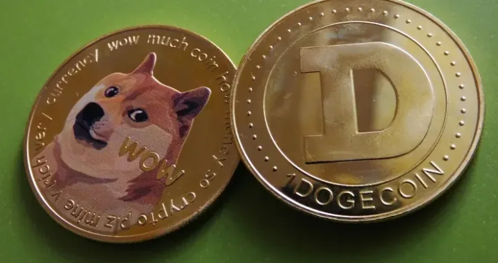 Dogecoin (DOGE) Bullish Surge: A Potential $1 Rally?