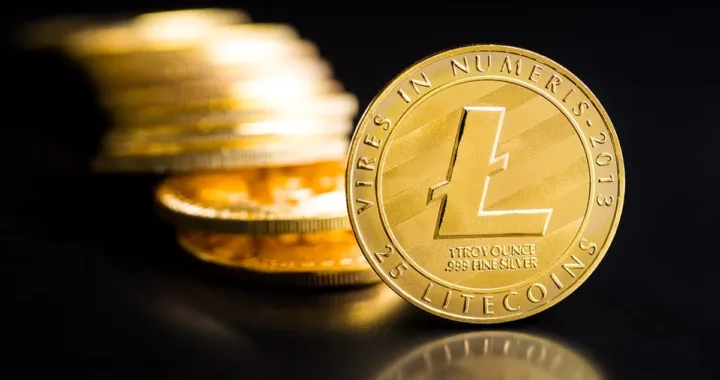 Litecoin Whales Unleash $950M: Is LTC ETF Approval Imminent?