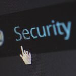 BONK News: BonkDAO Investigates $20 Million Governance Exploit